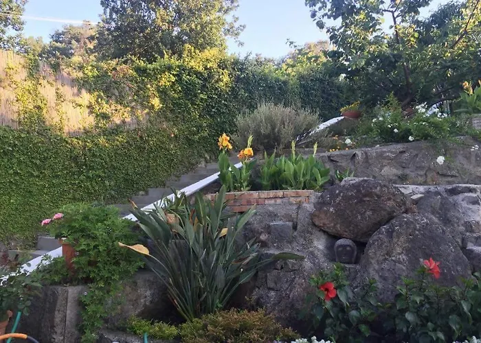 Sweet Frühstückspension